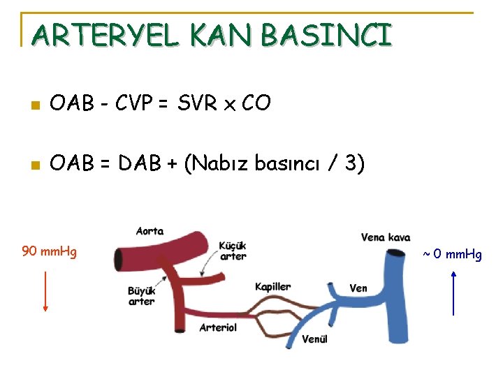 ARTERYEL KAN BASINCI n OAB - CVP = SVR x CO n OAB =