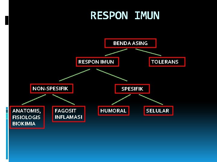 RESPON IMUN BENDA ASING RESPON IMUN NON-SPESIFIK ANATOMIS, FISIOLOGIS BIOKIMIA FAGOSIT INFLAMASI TOLERANS SPESIFIK