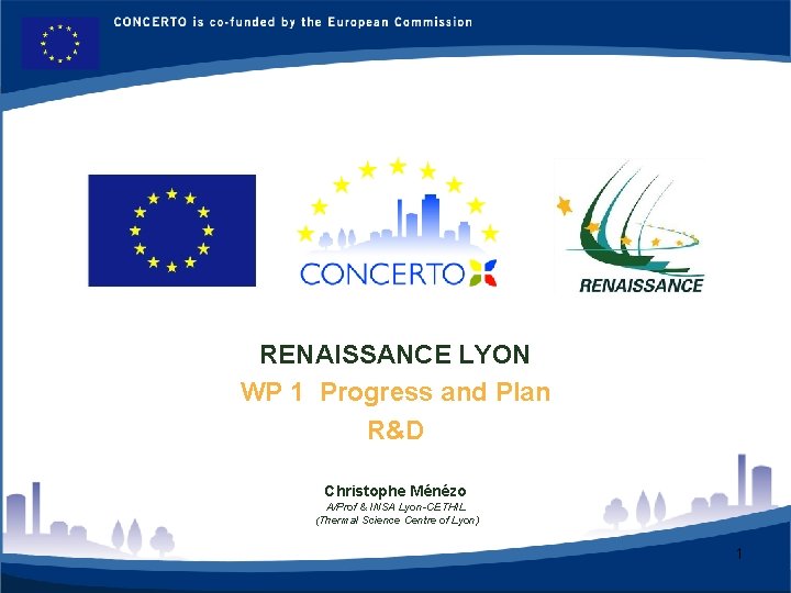 RENAISSANCE - LYON FRANCE RENAISSANCE LYON WP 1 Progress and Plan R&D Christophe Ménézo