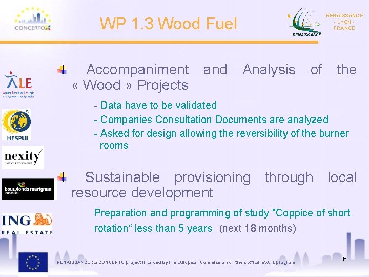 WP 1. 3 Wood Fuel RENAISSANCE - LYON FRANCE Accompaniment and Analysis of the