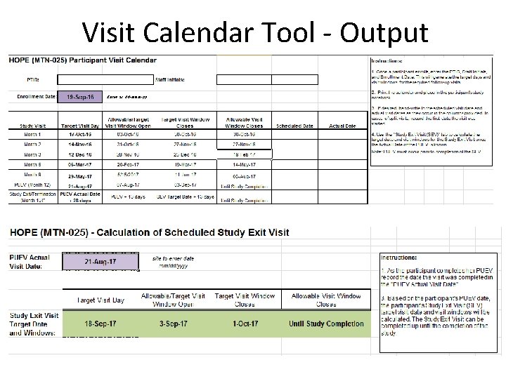 Visit Calendar Tool - Output 