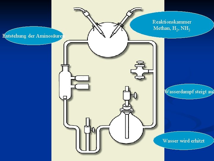 Reaktionskammer Methan, H 2, NH 3 Entstehung der Aminosäuren Wasserdampf steigt auf Wasser wird