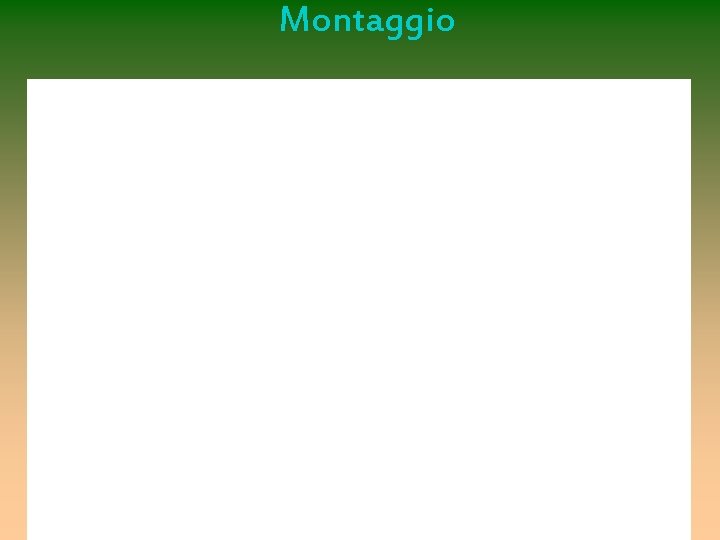 Montaggio 