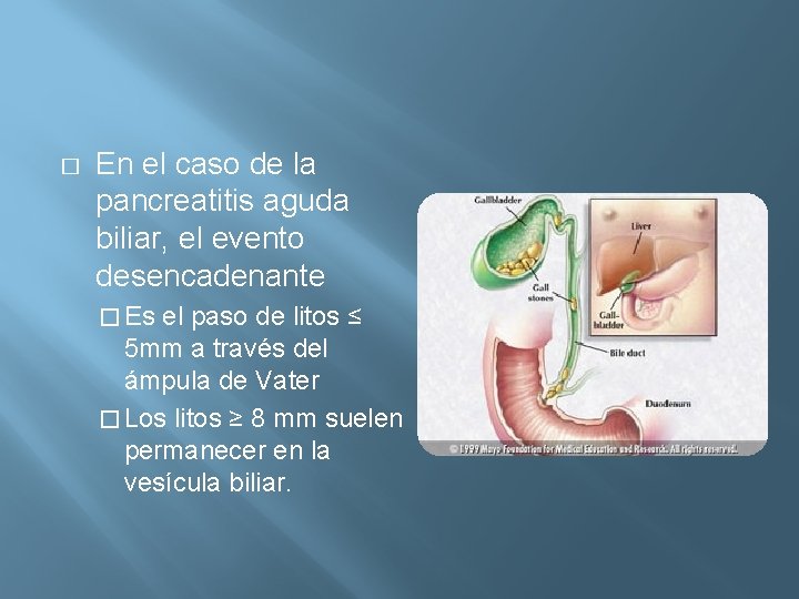 � En el caso de la pancreatitis aguda biliar, el evento desencadenante � Es