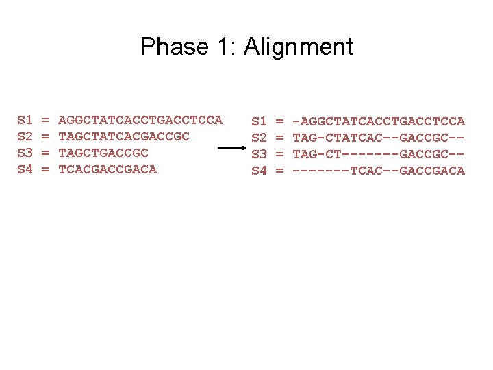 Phase 1: Alignment S 1 S 2 S 3 S 4 = = AGGCTATCACCTGACCTCCA