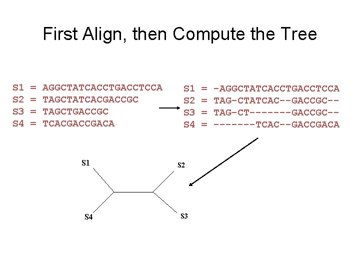 First Align, then Compute the Tree S 1 S 2 S 3 S 4