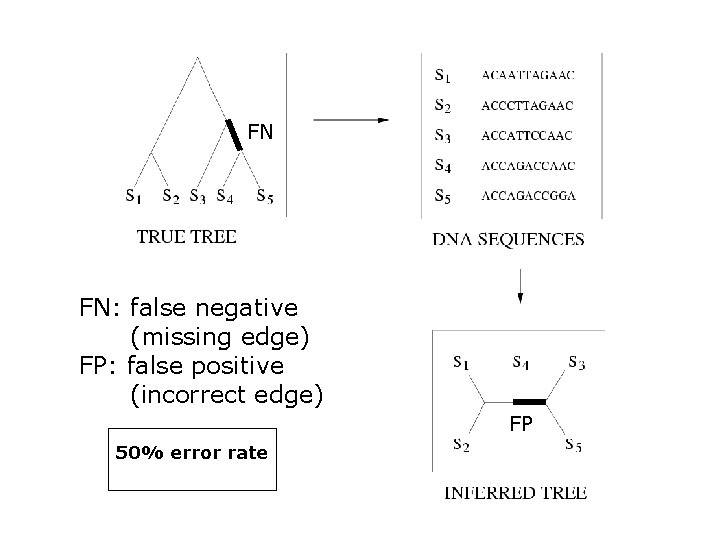 FN FN: false negative (missing edge) FP: false positive (incorrect edge) FP 50% error