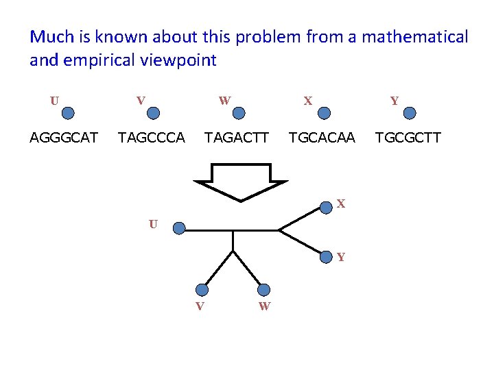 Much is known about this problem from a mathematical and empirical viewpoint U AGGGCAT