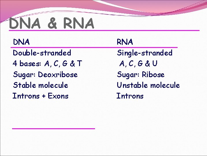 DNA & RNA Double-stranded 4 bases: A, C, G & T Sugar: Deoxribose Stable