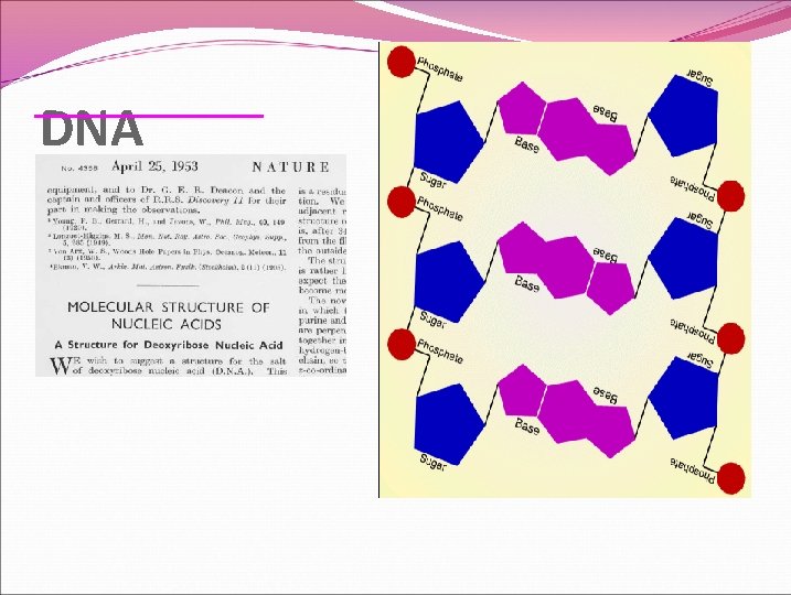 DNA Nature paper here 