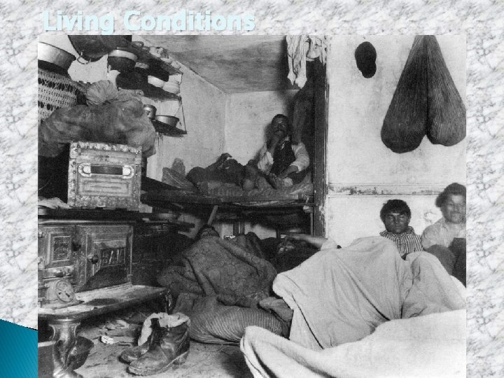 Living Conditions 5 cents a spot Living Conditions 5 cents a spot