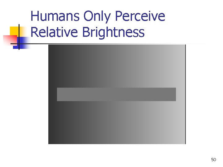 Humans Only Perceive Relative Brightness 50 