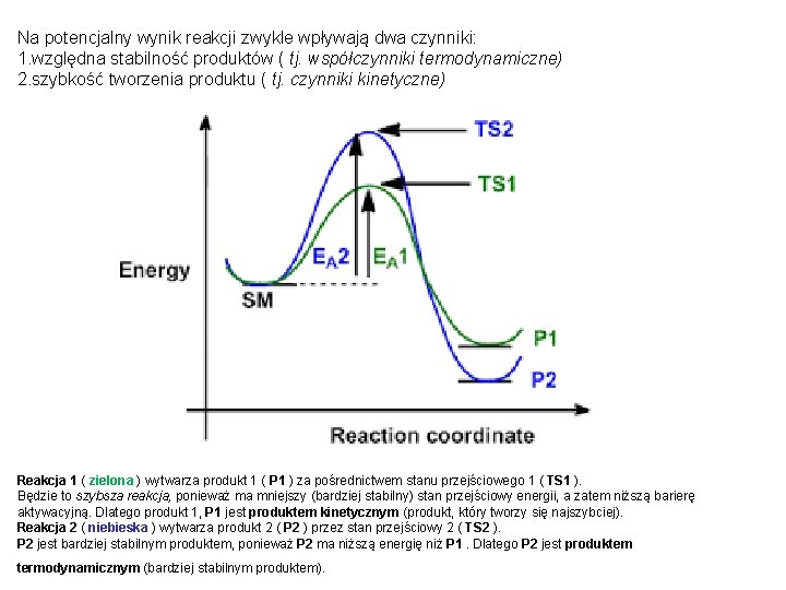 Na potencjalny wynik reakcji zwykle wpływają dwa czynniki: 1. względna stabilność produktów ( tj.