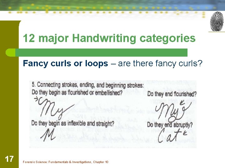 12 major Handwriting categories Fancy curls or loops – are there fancy curls? 17