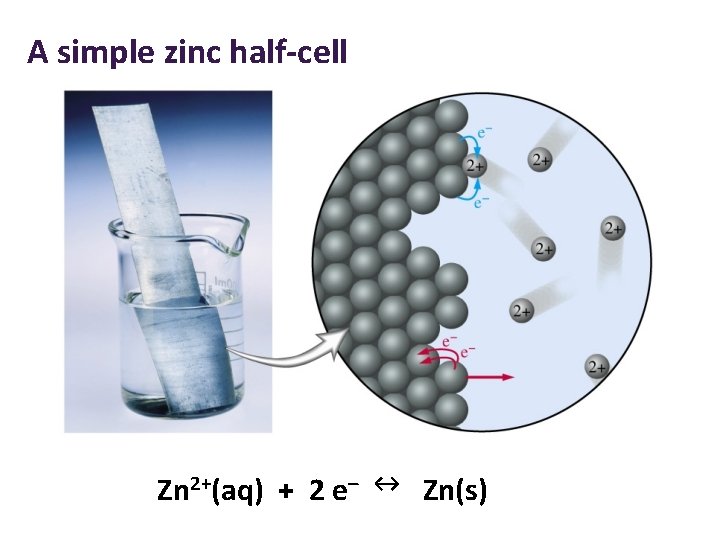 A simple zinc half-cell Zn 2+(aq) + 2 e– ↔ Zn(s) 