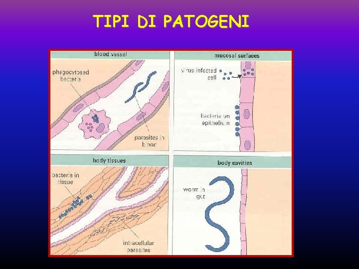 TIPI DI PATOGENI 