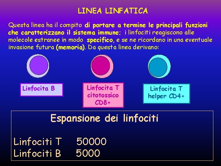 LINEA LINFATICA Questa linea ha il compito di portare a termine le principali funzioni