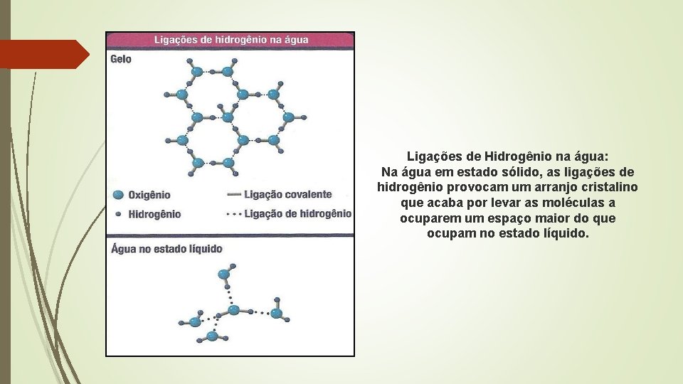 Ligações de Hidrogênio na água: Na água em estado sólido, as ligações de hidrogênio