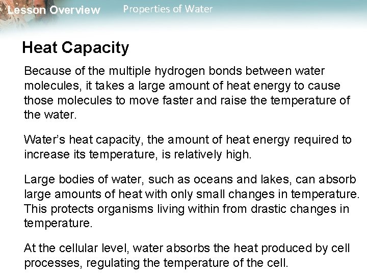Lesson Overview Properties of Water Heat Capacity Because of the multiple hydrogen bonds between