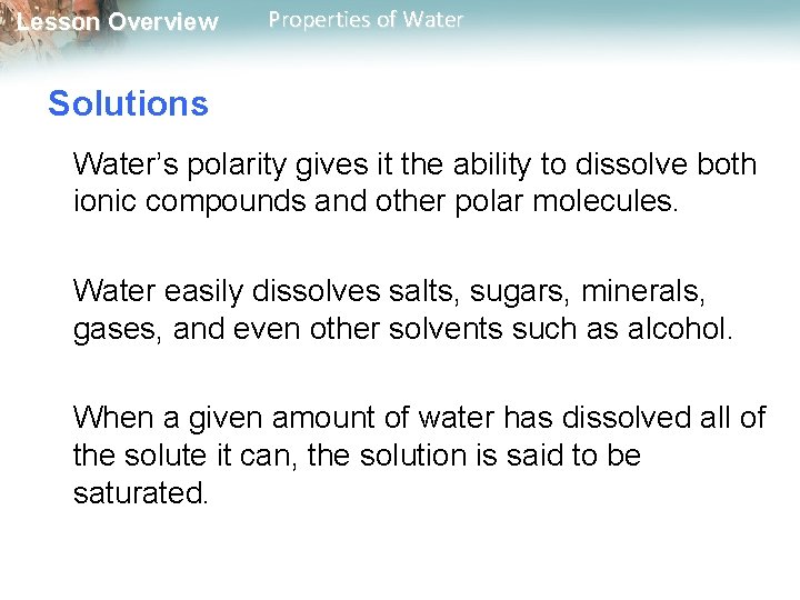Lesson Overview Properties of Water Solutions Water’s polarity gives it the ability to dissolve