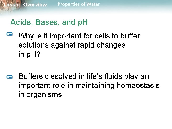 Lesson Overview Properties of Water Acids, Bases, and p. H Why is it important