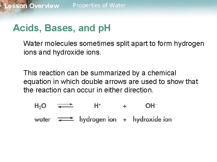 Lesson Overview Properties of Water Acids, Bases, and p. H Water molecules sometimes split