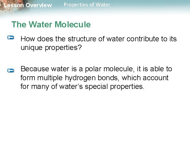 Lesson Overview Properties of Water The Water Molecule How does the structure of water