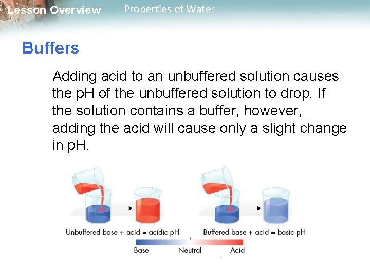 Lesson Overview Properties of Water Buffers Adding acid to an unbuffered solution causes the
