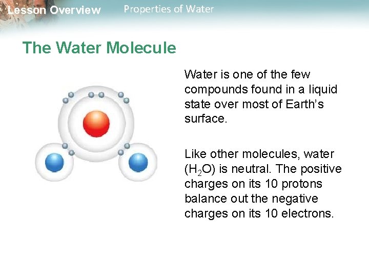 Lesson Overview Properties of Water The Water Molecule Water is one of the few