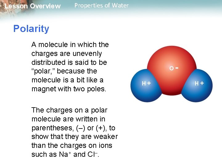 Lesson Overview Properties of Water Polarity A molecule in which the charges are unevenly