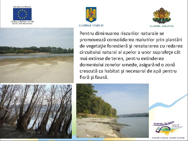 Pentru diminuarea riscurilor naturale se promovează consolidarea malurilor prin plantări de vegetaţie forestieră şi