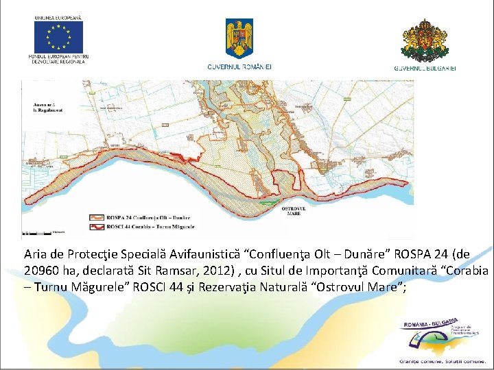 Aria de Protecţie Specială Avifaunistică “Confluenţa Olt – Dunăre” ROSPA 24 (de 20960 ha,