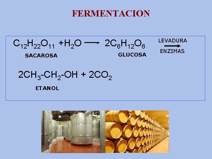 FERMENTACION C 12 H 22 O 11 +H 2 O 2 C 6 H