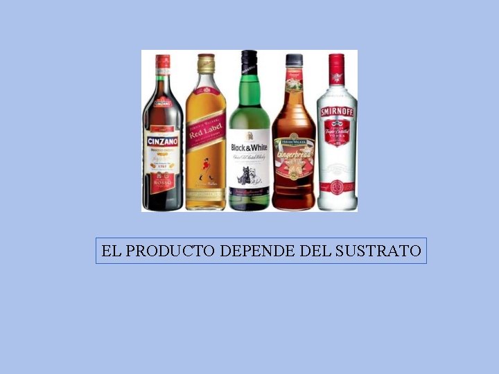 EL PRODUCTO DEPENDE DEL SUSTRATO 