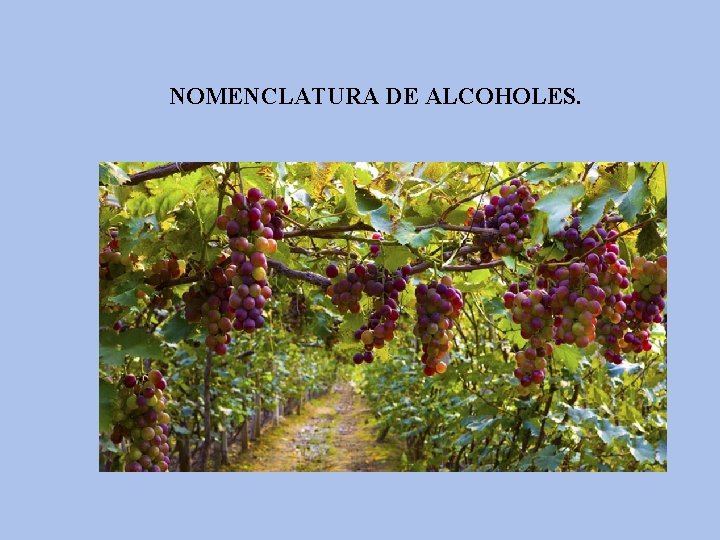 NOMENCLATURA DE ALCOHOLES. 