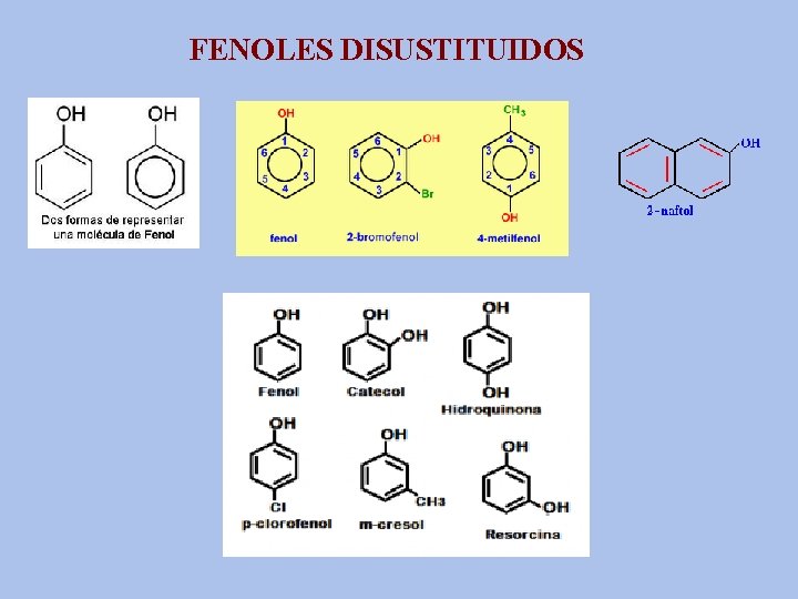 FENOLES DISUSTITUIDOS 