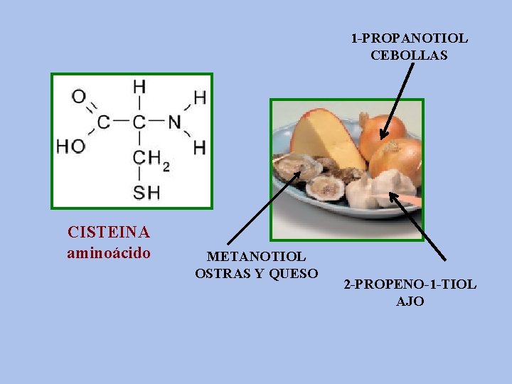 1 -PROPANOTIOL CEBOLLAS CISTEINA aminoácido METANOTIOL OSTRAS Y QUESO 2 -PROPENO-1 -TIOL AJO 