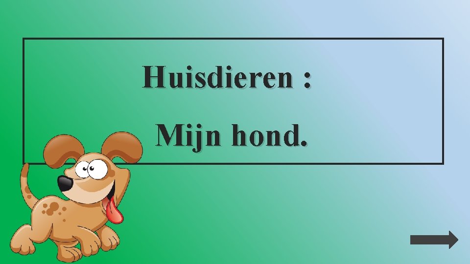 Huisdieren : Mijn hond. 