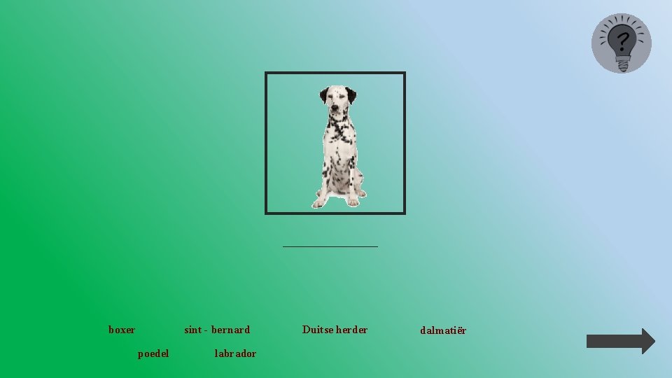 _________ boxer sint - bernard poedel labrador Duitse herder dalmatiër 