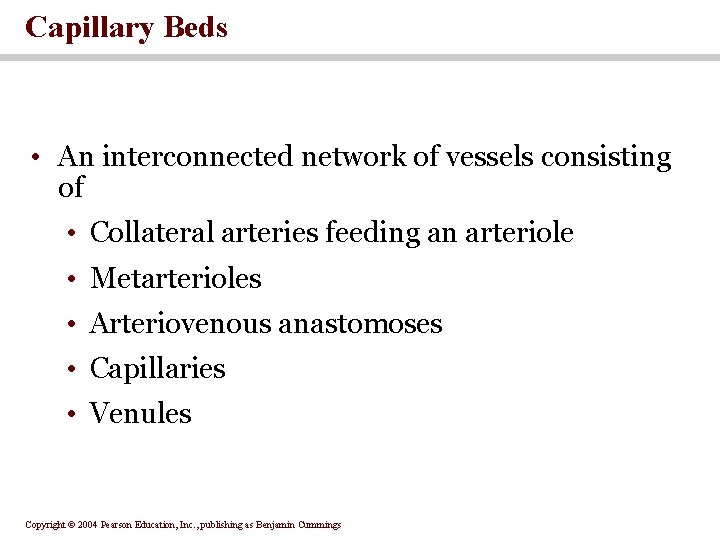Capillary Beds • An interconnected network of vessels consisting of • Collateral arteries feeding