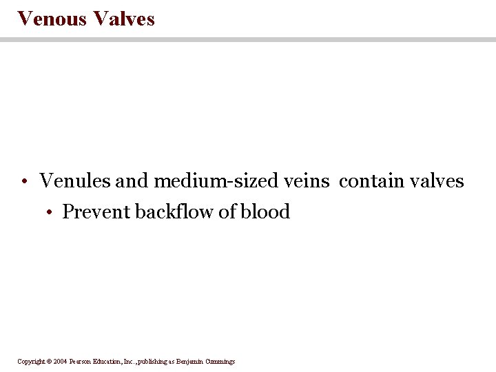 Venous Valves • Venules and medium-sized veins contain valves • Prevent backflow of blood