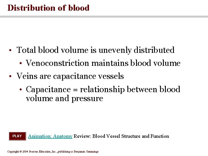 Distribution of blood • Total blood volume is unevenly distributed • Venoconstriction maintains blood