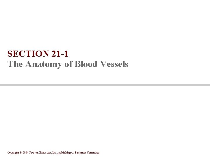 SECTION 21 -1 The Anatomy of Blood Vessels Copyright © 2004 Pearson Education, Inc.