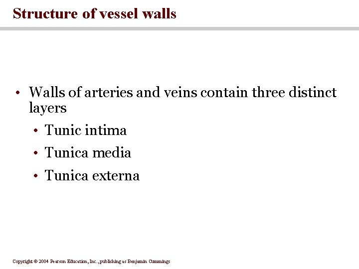 Structure of vessel walls • Walls of arteries and veins contain three distinct layers