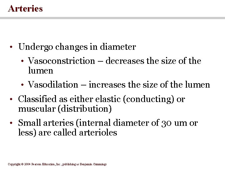 Arteries • Undergo changes in diameter • Vasoconstriction – decreases the size of the