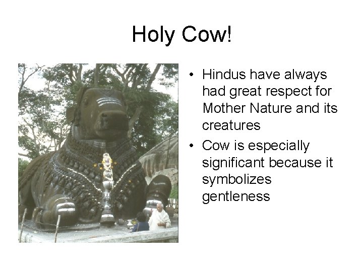 Holy Cow! • Hindus have always had great respect for Mother Nature and its