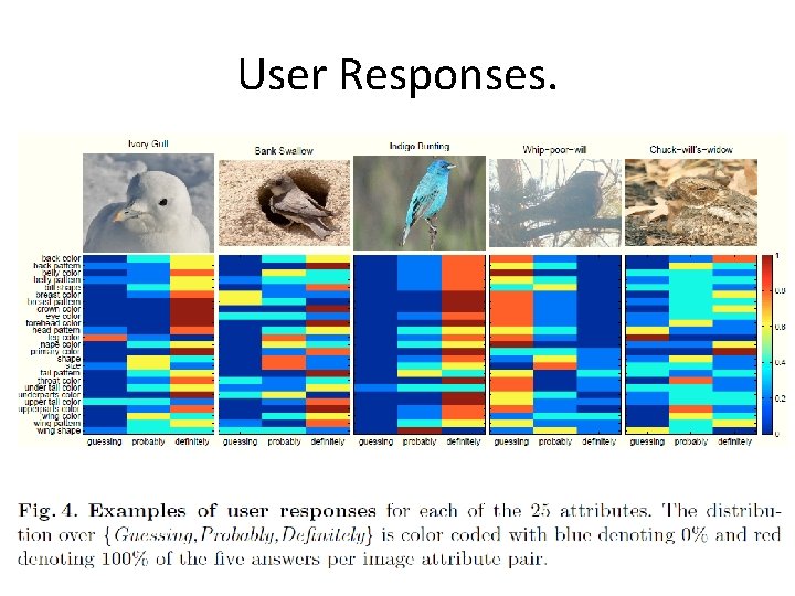 User Responses. 