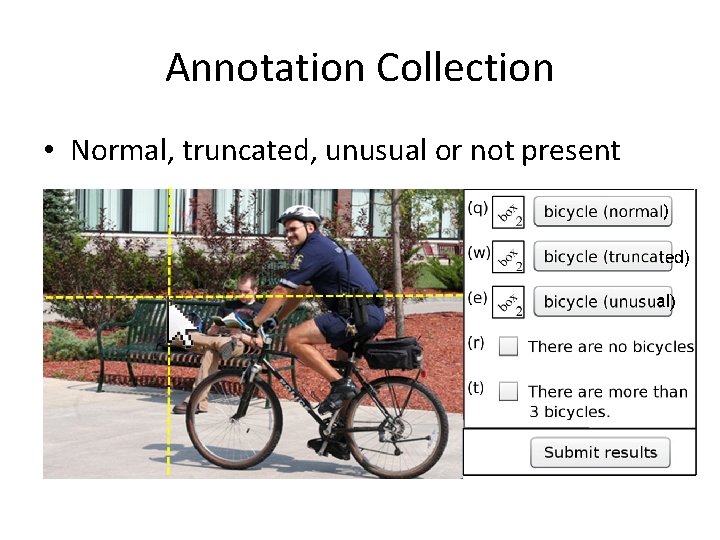 Annotation Collection • Normal, truncated, unusual or not present 