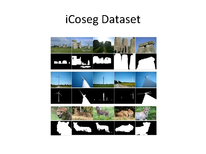 i. Coseg Dataset 