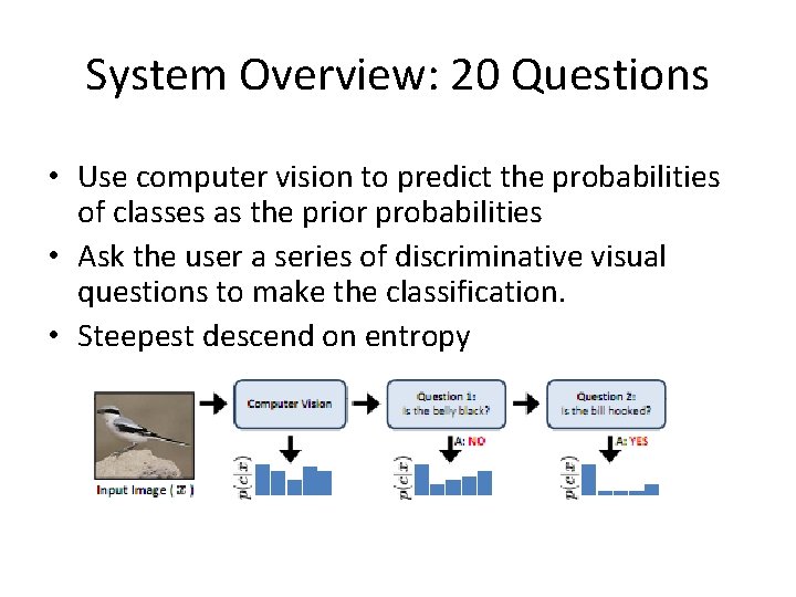 System Overview: 20 Questions • Use computer vision to predict the probabilities of classes